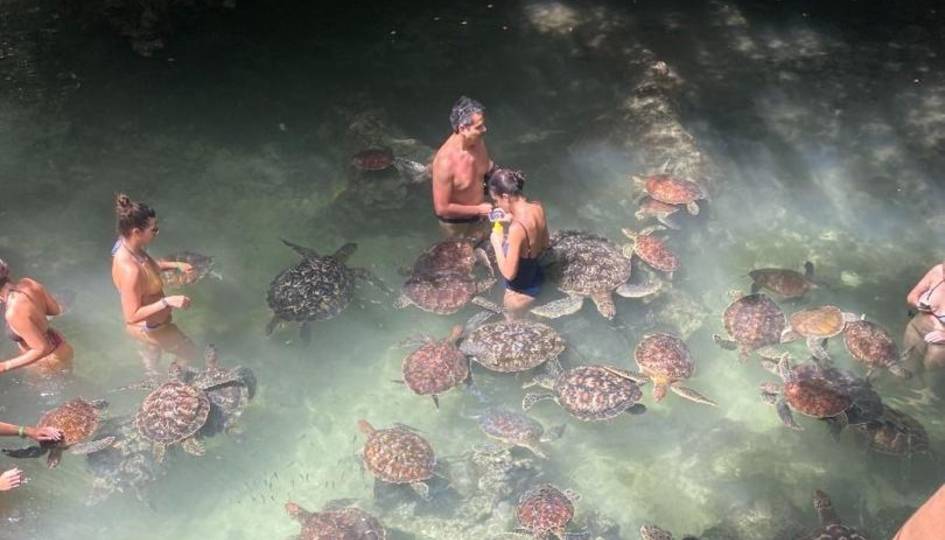 Nungwi Aquarium & Turtle Conservation